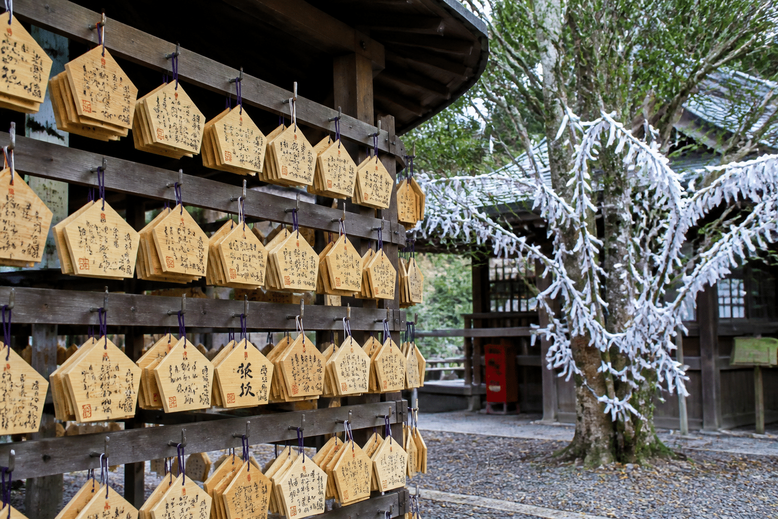 Plaquettes ema en bois pentagonales et omikuji noués au sanctuaire shinto