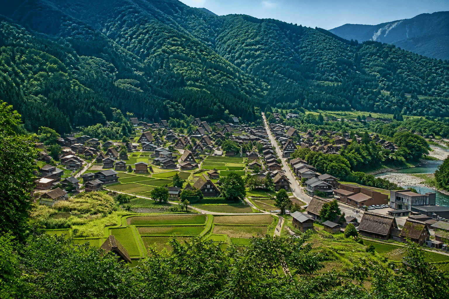 belvédère Shiroyama vue panoramique sur les toits de chaume des maisons gassho-zukuri d'Ogimachi